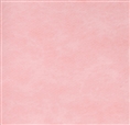 Falcon Eyes Fantasy Cloth FC-21 3x6 m Zalm