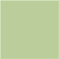 Falcon Eyes Achtergrondpapier 0013 Tropical Green 2,75 x 11 m