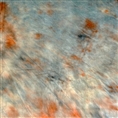 Falcon Eyes Achtergronddoek S052 2,9x7 m