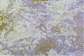 Falcon Eyes Fantasy Cloth C-021 3x6 m