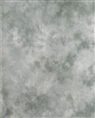 Linkstar Achtergronddoek S-101 2,9x7m