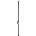 Autopoles