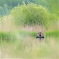 Buteo Photo Gear Drijftent Floating Hide Grebe II