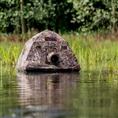 Buteo Photo Gear Drijftent Floating Hide Grebe II
