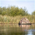 Buteo Photo Gear Drijftent Floating Hide Grebe