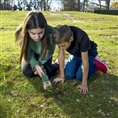 Carson Bugview Vergrootglas met één-hands insectenvanger