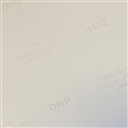 DNP Standaard Papier DSRX1HS-4X6 2 Rol à 700 St. 10x15 voor DS-RX1HS