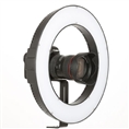 Falcon Eyes Bi-Color LED Ringlamp Dimbaar DVR-384DVC op 230V