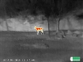 FLIR Scout TKx Warmtebeeldcamera