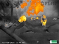 FLIR Scout TKx Warmtebeeldcamera