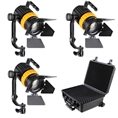 Falcon Eyes Bi-Color Mini LED Fresnel Set P-5AD-K3