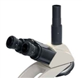 Byomic Kop Trinoculair voor BYO500B-BYO503T