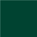 Superior Achtergrondpapier 12 Deep Green 1,35 x 11m