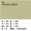 Superior Achtergrondpapier 13 Tropical Green 1,35 x 11m