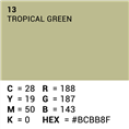 Superior Achtergrondpapier 13 Tropical Green 2,72 x 11m