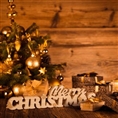 Zep Kerst Kevin VP87EN EN 42x2,5 h9,5 cm