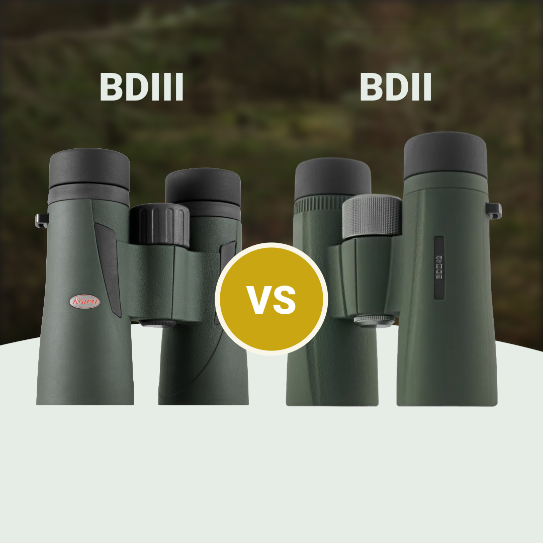 Kowa BDIII XD vs Kowa BDII-XD
