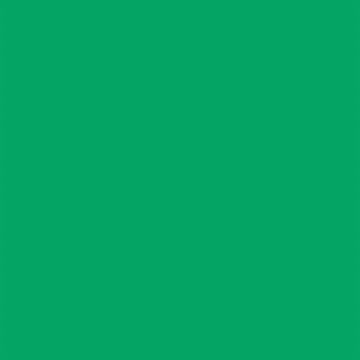 Falcon Eyes Achtergrondpapier 46 Chroma Green 2,18 x 11 m