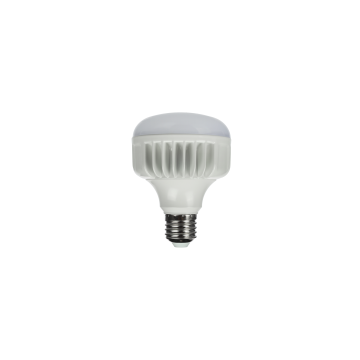 StudioKing LED Daglichtlamp 25W E27 FLED-25 StudioKing LED Daglichtlamp 25W E27 FLED-25