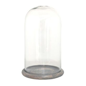 Clayre Eef Stolp 6GL3536 Transparent 17x29 cm Clayre Eef Stolp 6GL3536 Transparent 17x29 cm