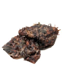 Buteo Photo Gear Camouflagenet 1 Gekleurd blad 2,4x3 m Buteo Photo Gear Camouflagenet 1 Gekleurd blad 2,4x3 m