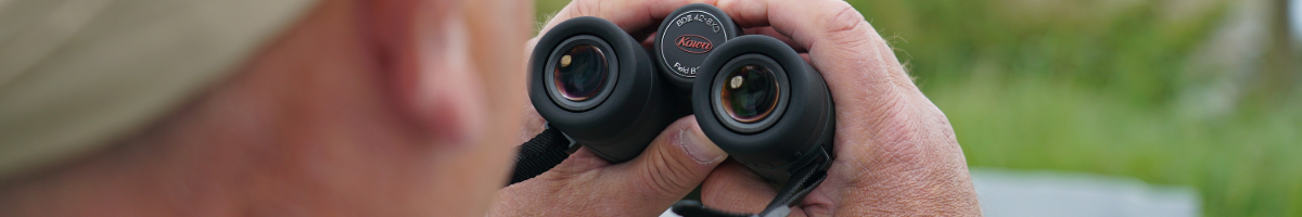 Kowa BDIII XD 8x32 verrekijker voor urban birding en wandelen